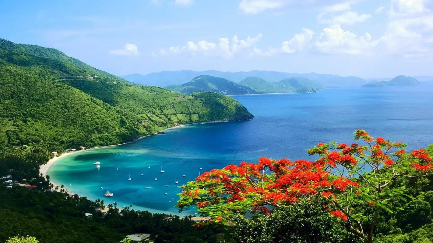 数字化全自动节能
